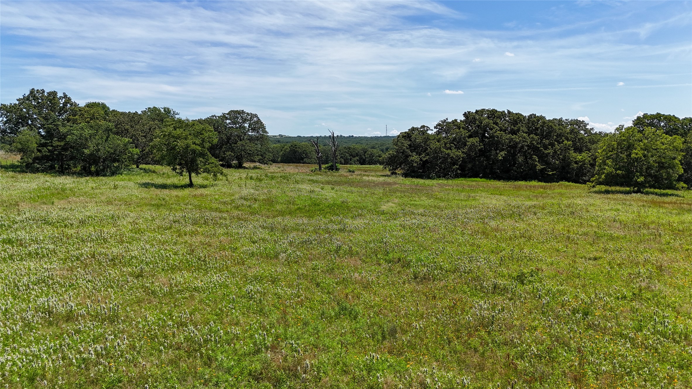 11471 Fm 455 Forestburg TX 76239