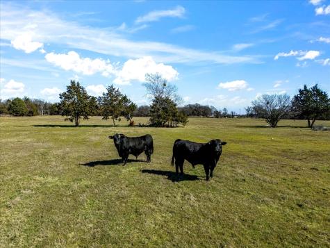 11095 E State Highway 31 Kerens TX 75144