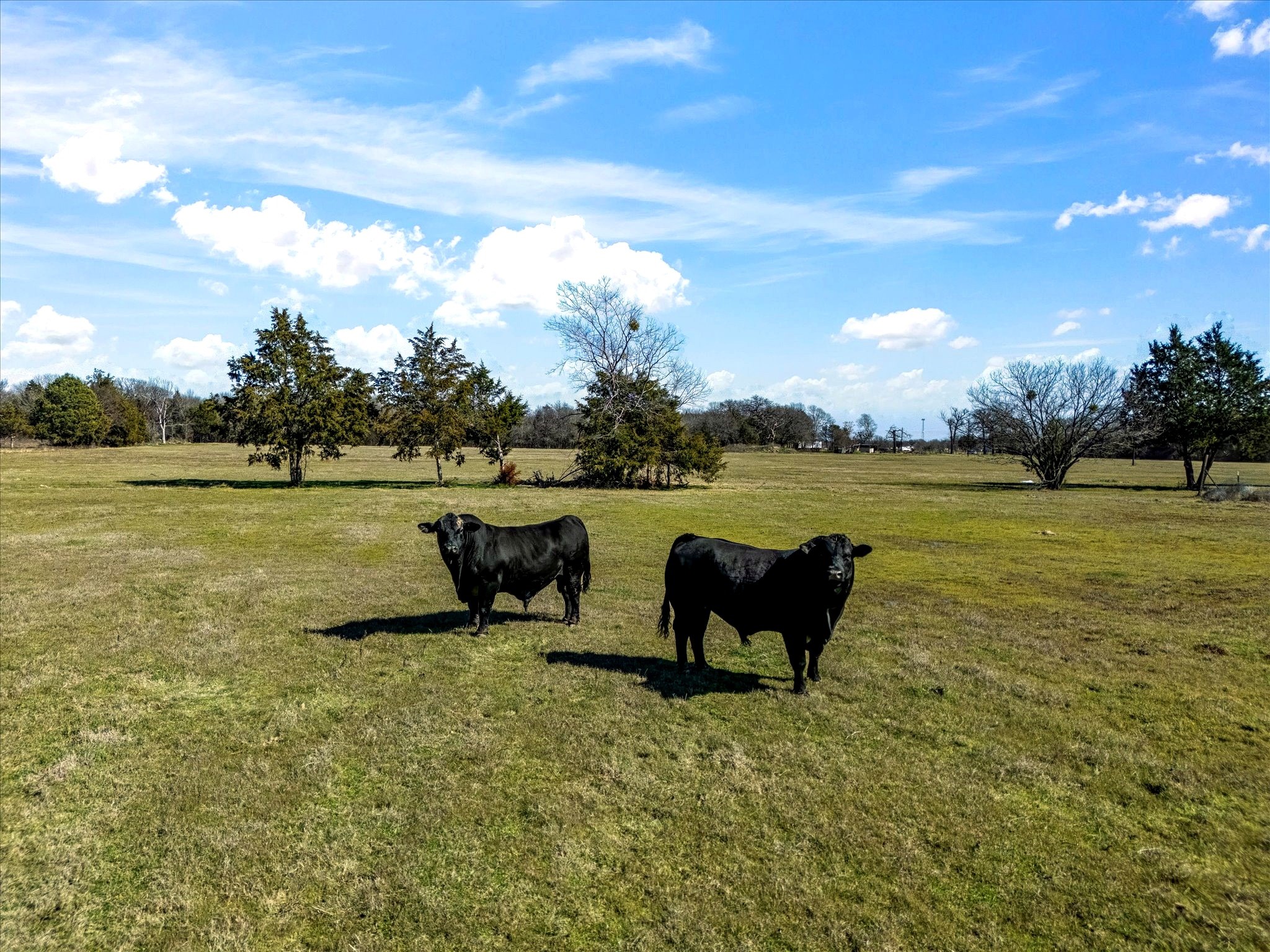 11095 E State Highway 31 Kerens TX 75144