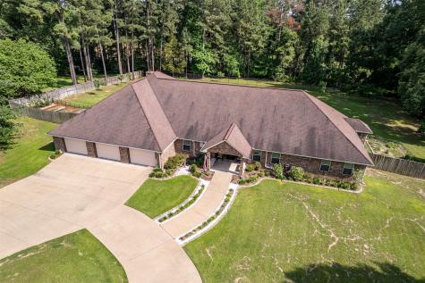 19135 Bynum Flint TX 75762