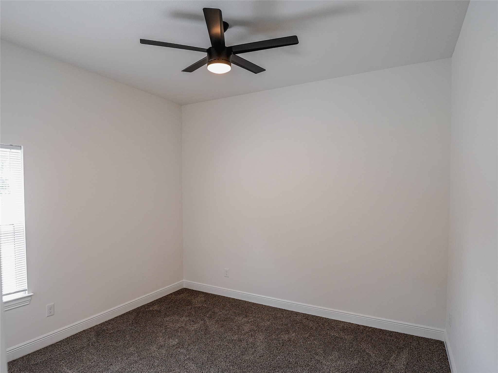 4206 Colonial Avenue Dallas TX 75215