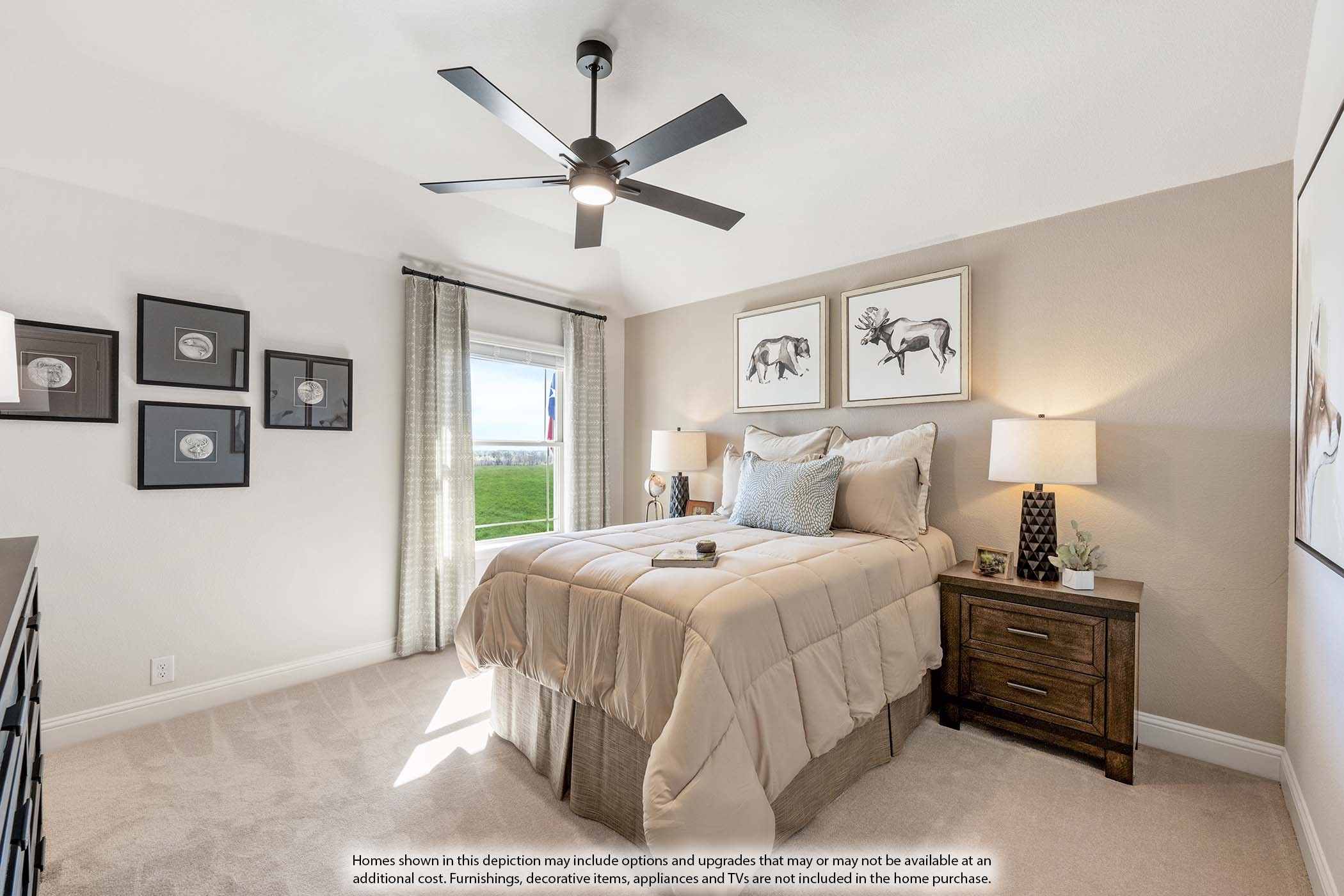 16409 Boston Ivy Drive Fort Worth TX 76247