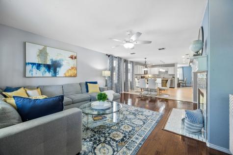 13361 Sorrento Drive Frisco TX 75035