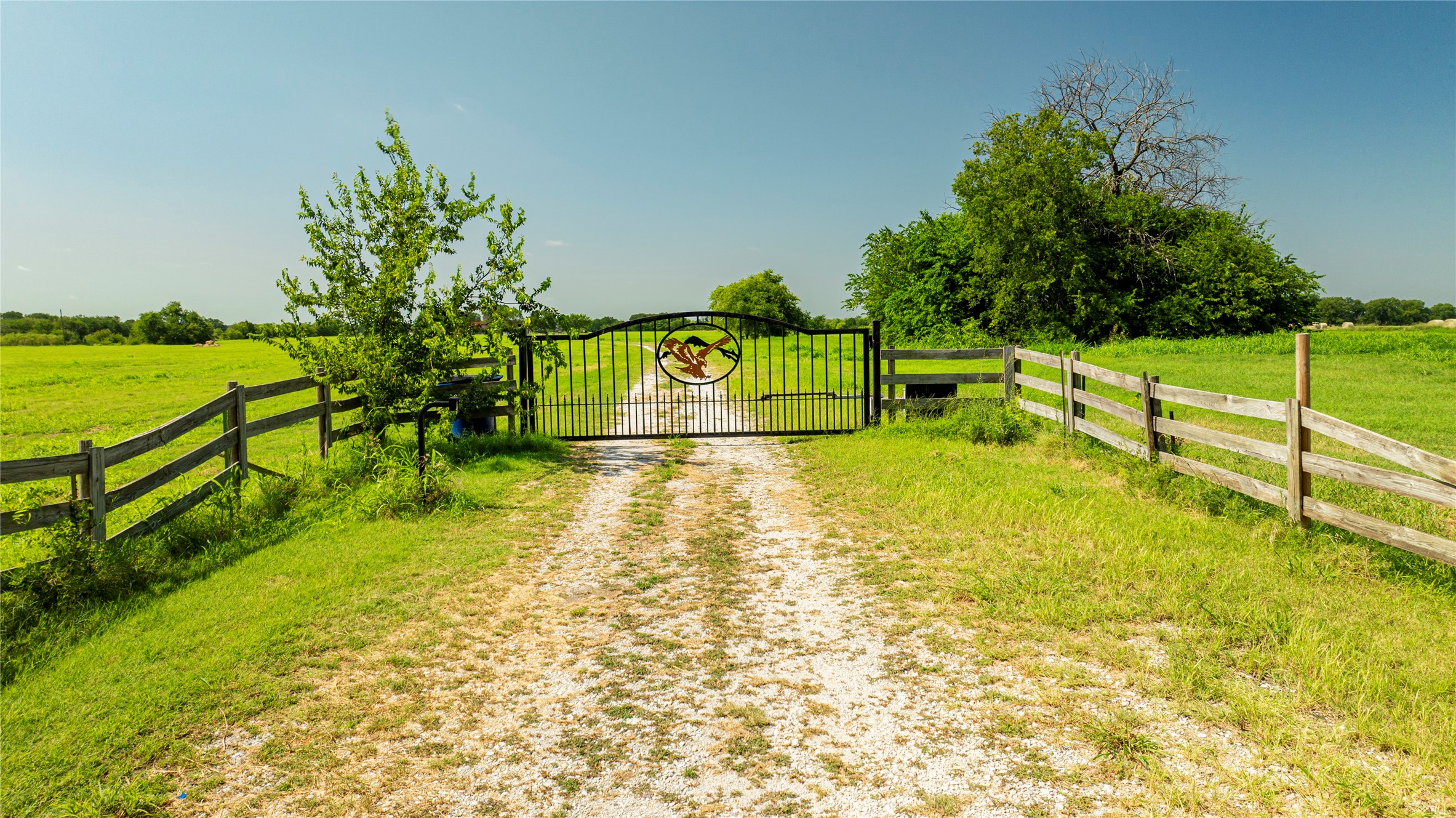 12520 455 E Pilot Point TX 76258