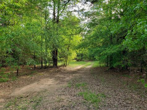 1070 Piney Grove Rusk TX 75785