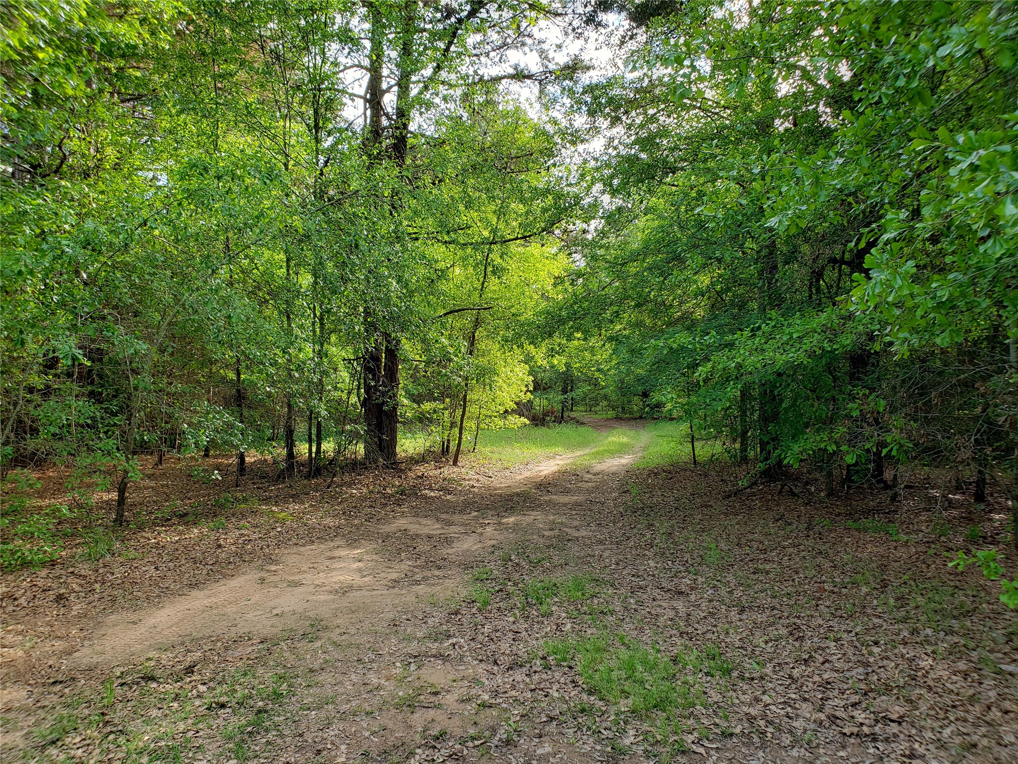 1070 Piney Grove Rusk TX 75785