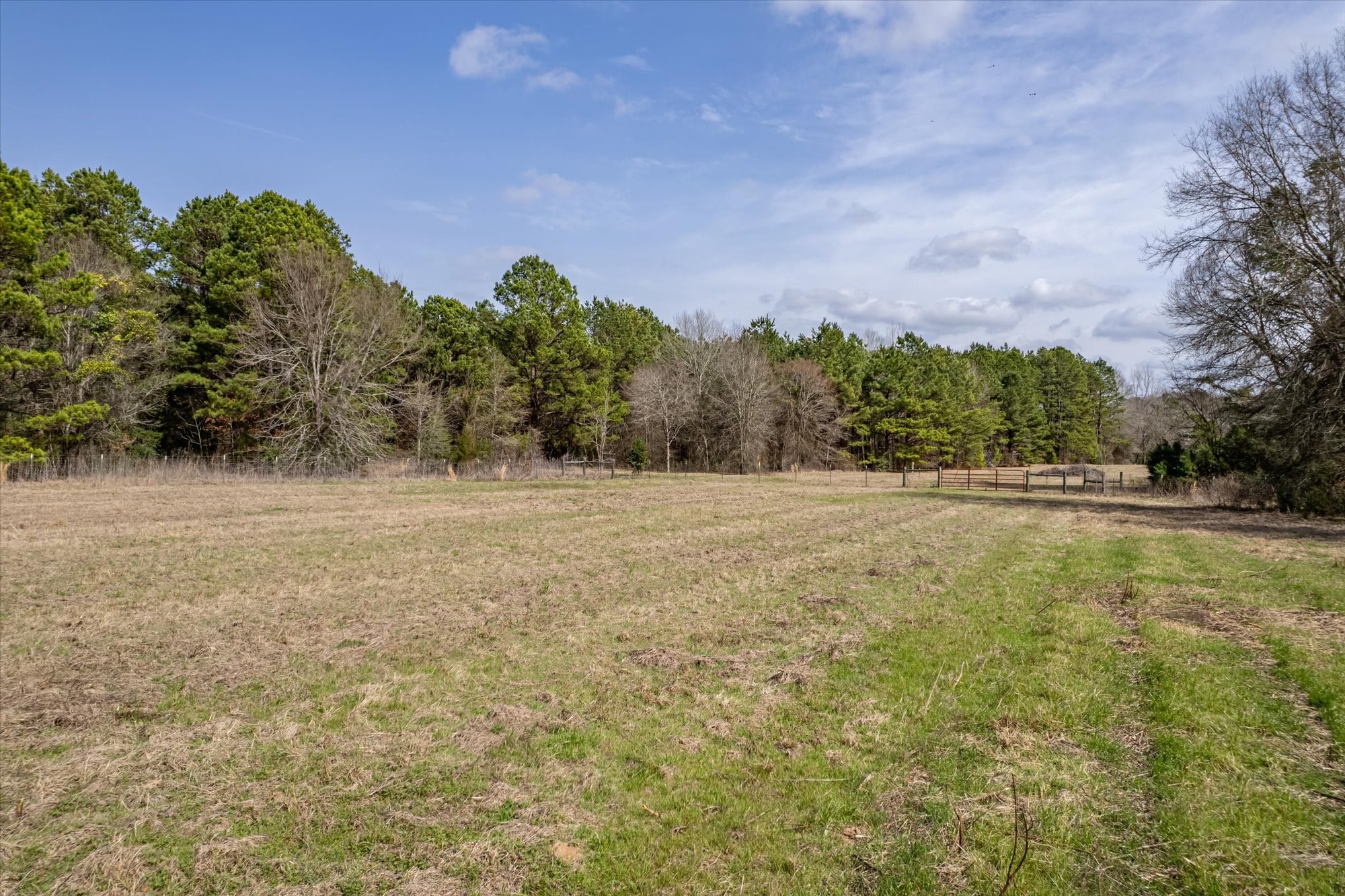 1070 Piney Grove Rusk TX 75785