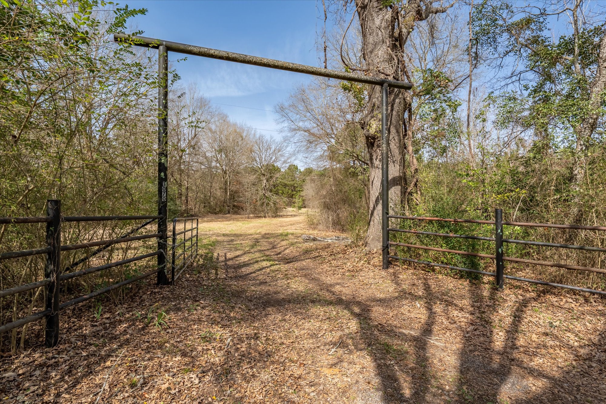 1070 Piney Grove Rusk TX 75785