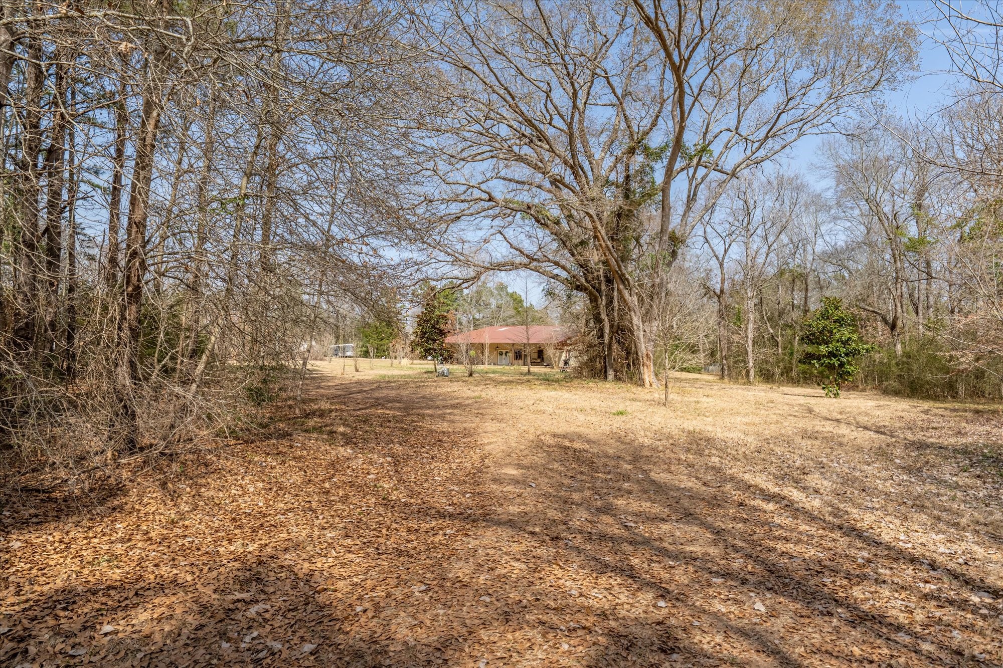 1070 Piney Grove Rusk TX 75785