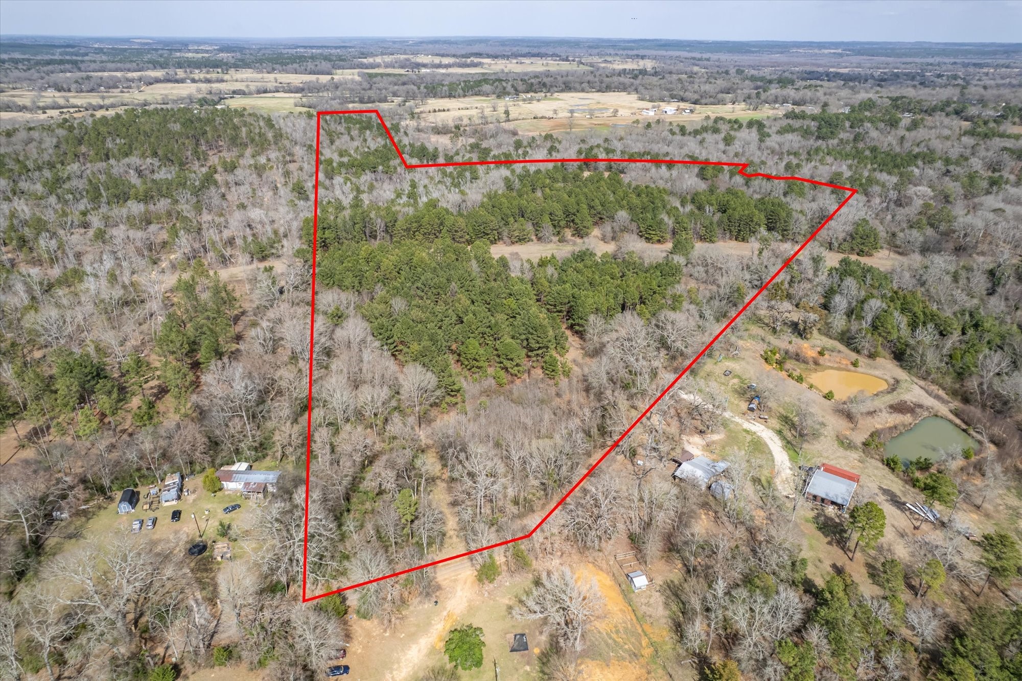 1070 Piney Grove Rusk TX 75785