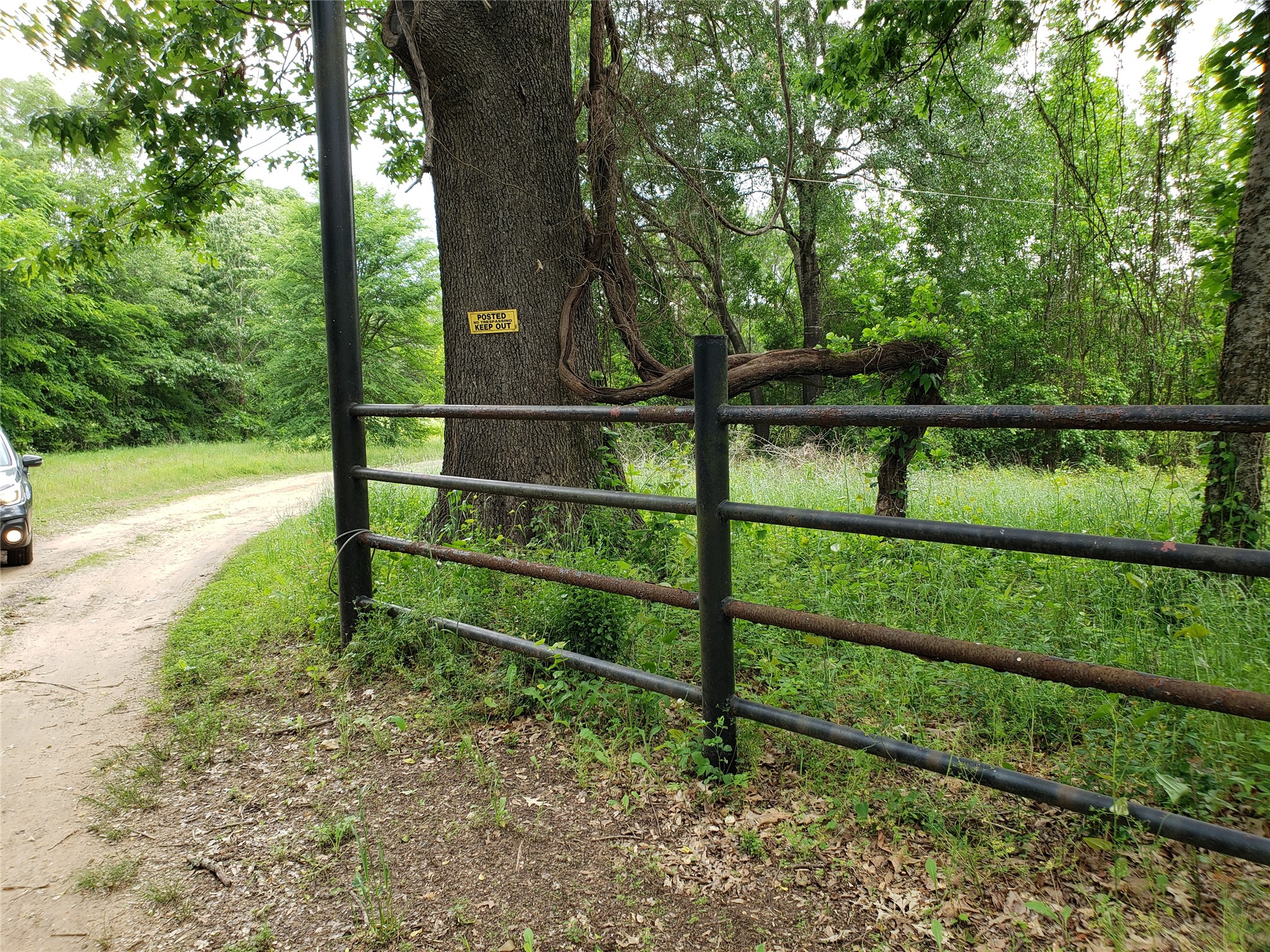 1070 Piney Grove Rusk TX 75785