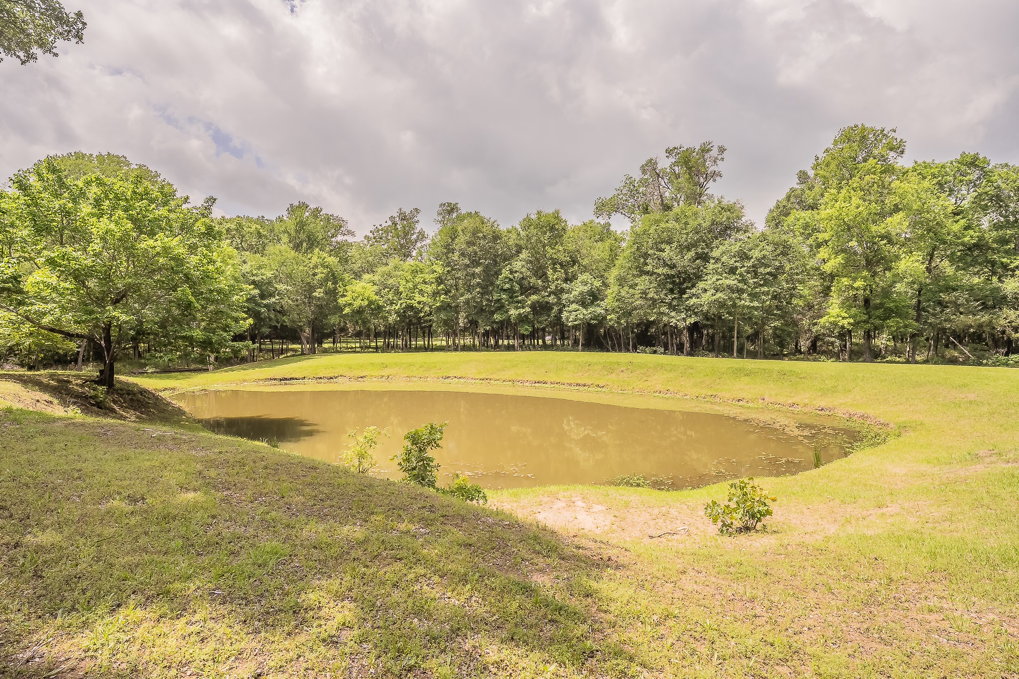 10248 N Poetry Lane Poetry TX 75160