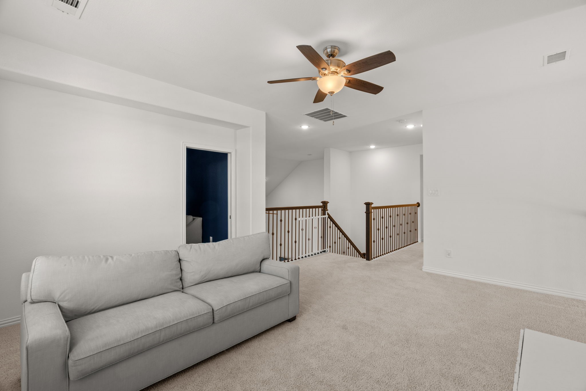 1217 Armadillo Trail Lantana TX 76226