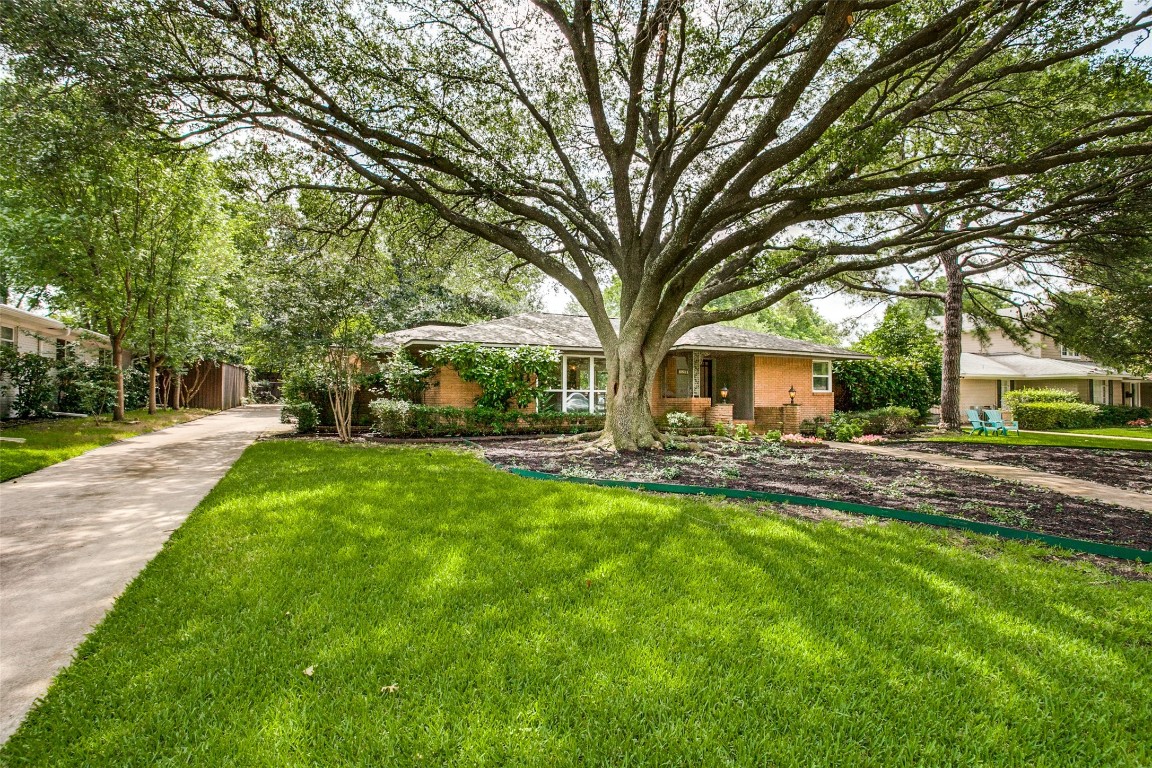 11208 Pinocchio Drive Dallas TX 75229