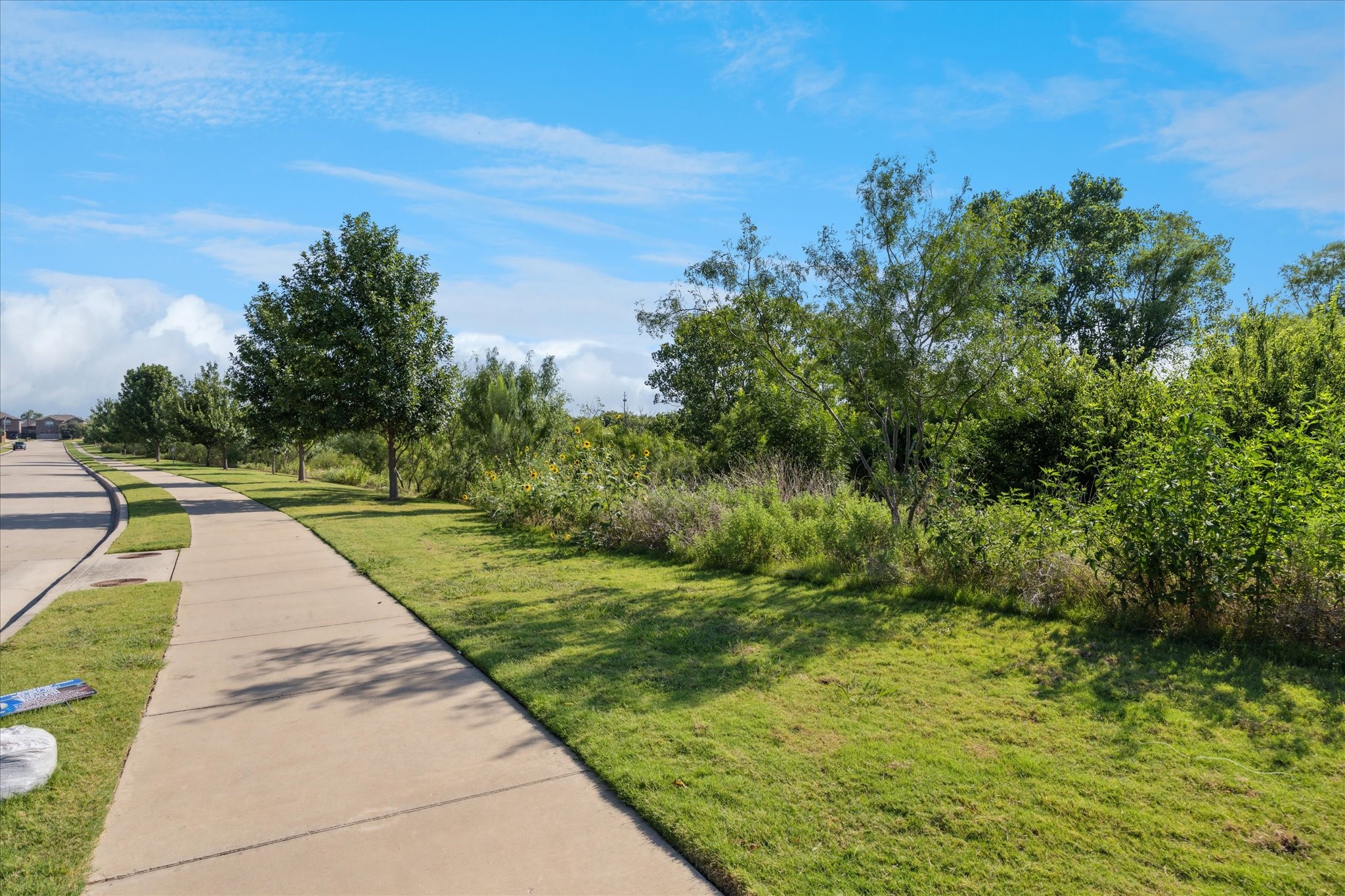 10205 Point Lobos Trail Fort Worth TX 76177