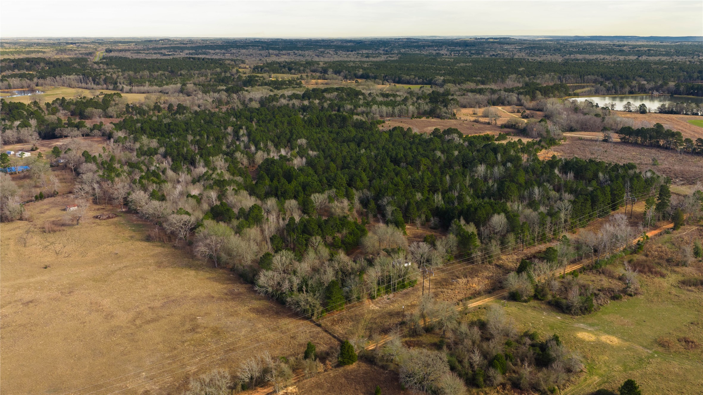 3662 Acr 359 Palestine TX 75803