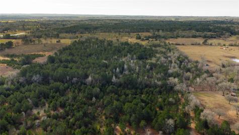 3662 Acr 359 Palestine TX 75803
