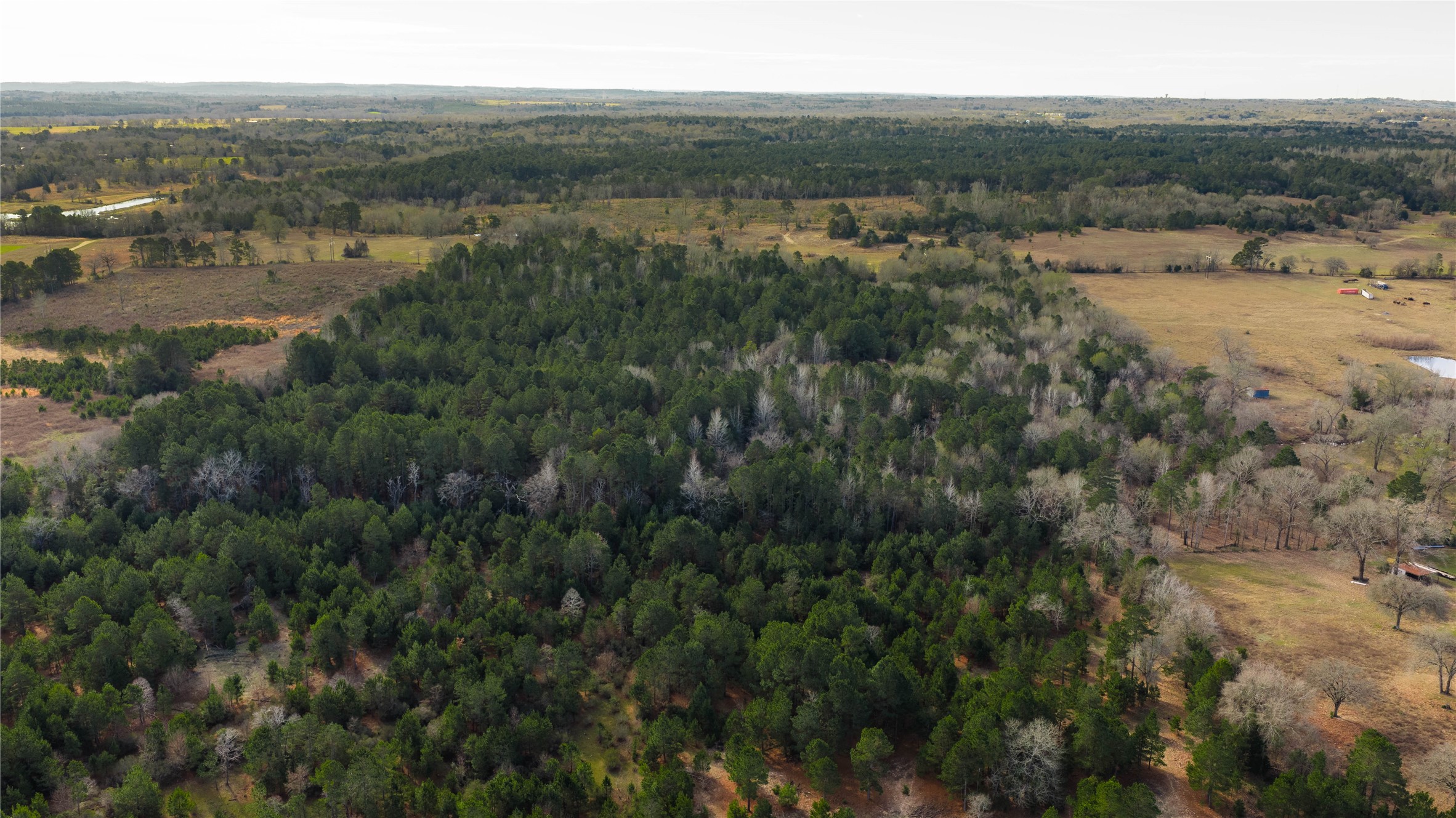 3662 Acr 359 Palestine TX 75803