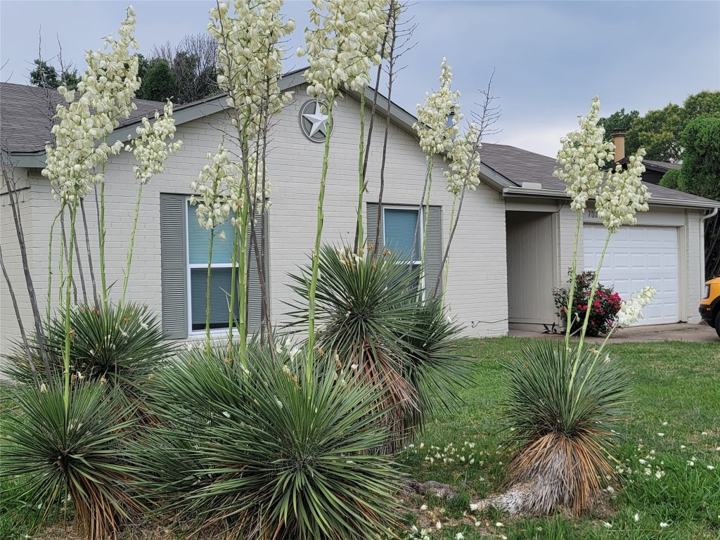 7024 Chapman Drive North Richland Hills TX 76182
