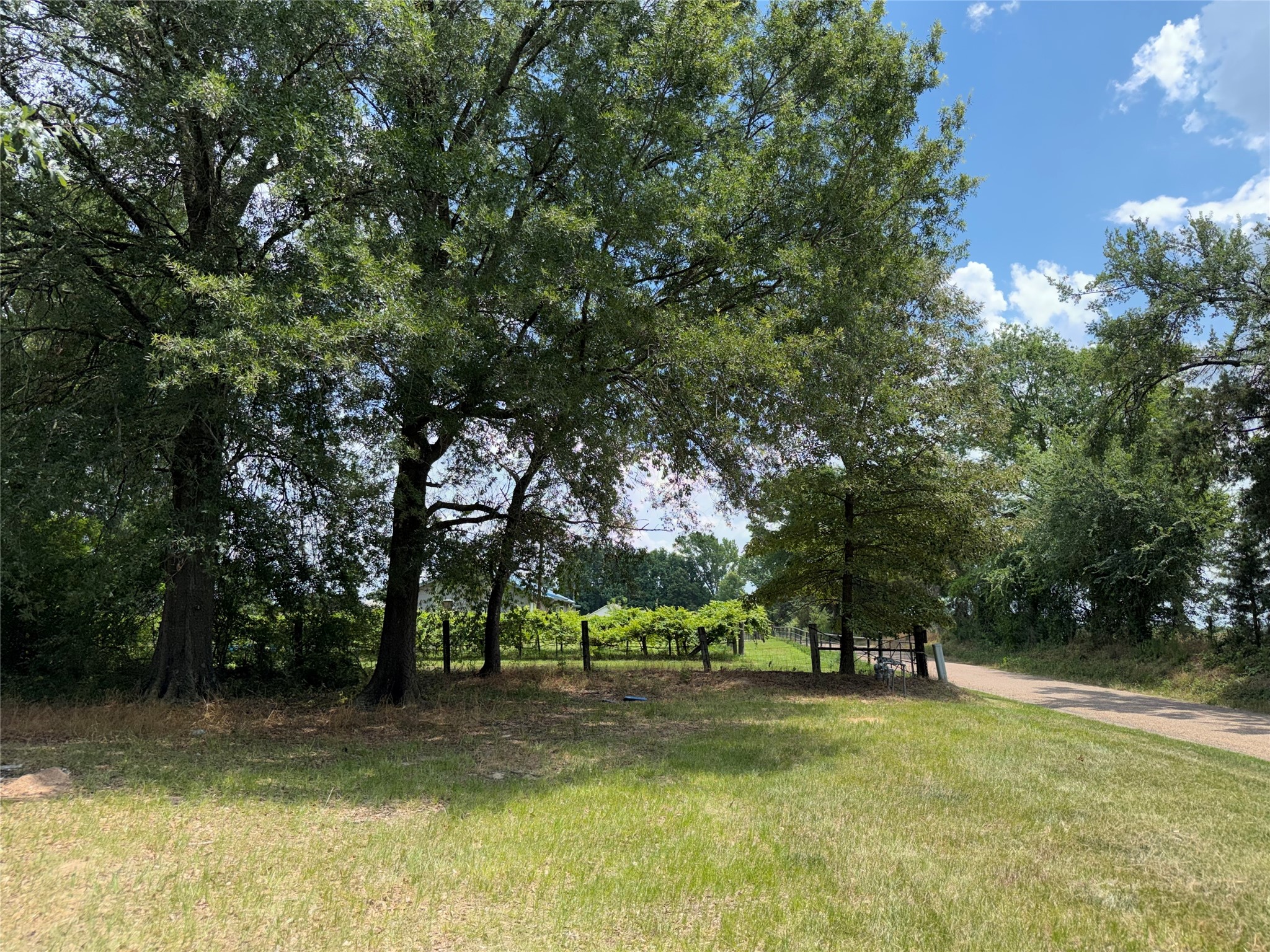 2118 County Road 4110 Pittsburg TX 75686