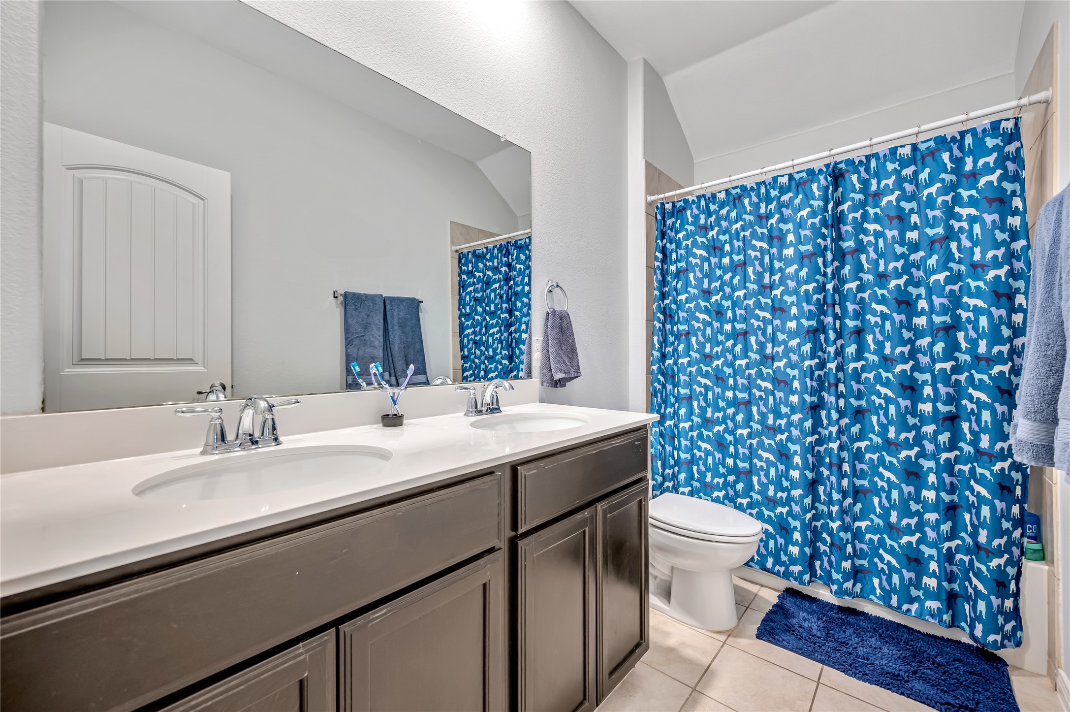2125 Lake Cliff Drive Little Elm TX 75068