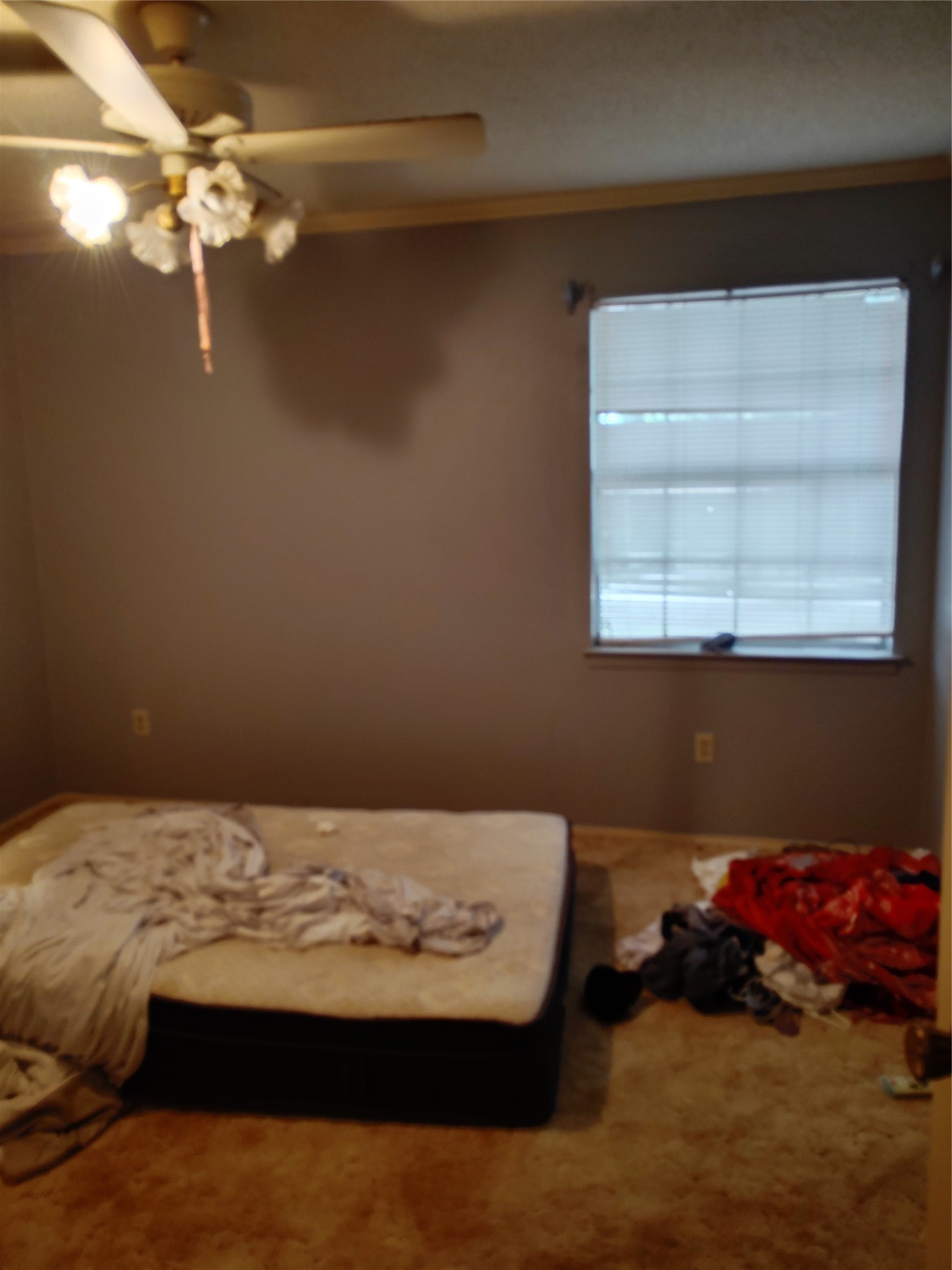 1413 Alford Drive Hillsboro TX 76645