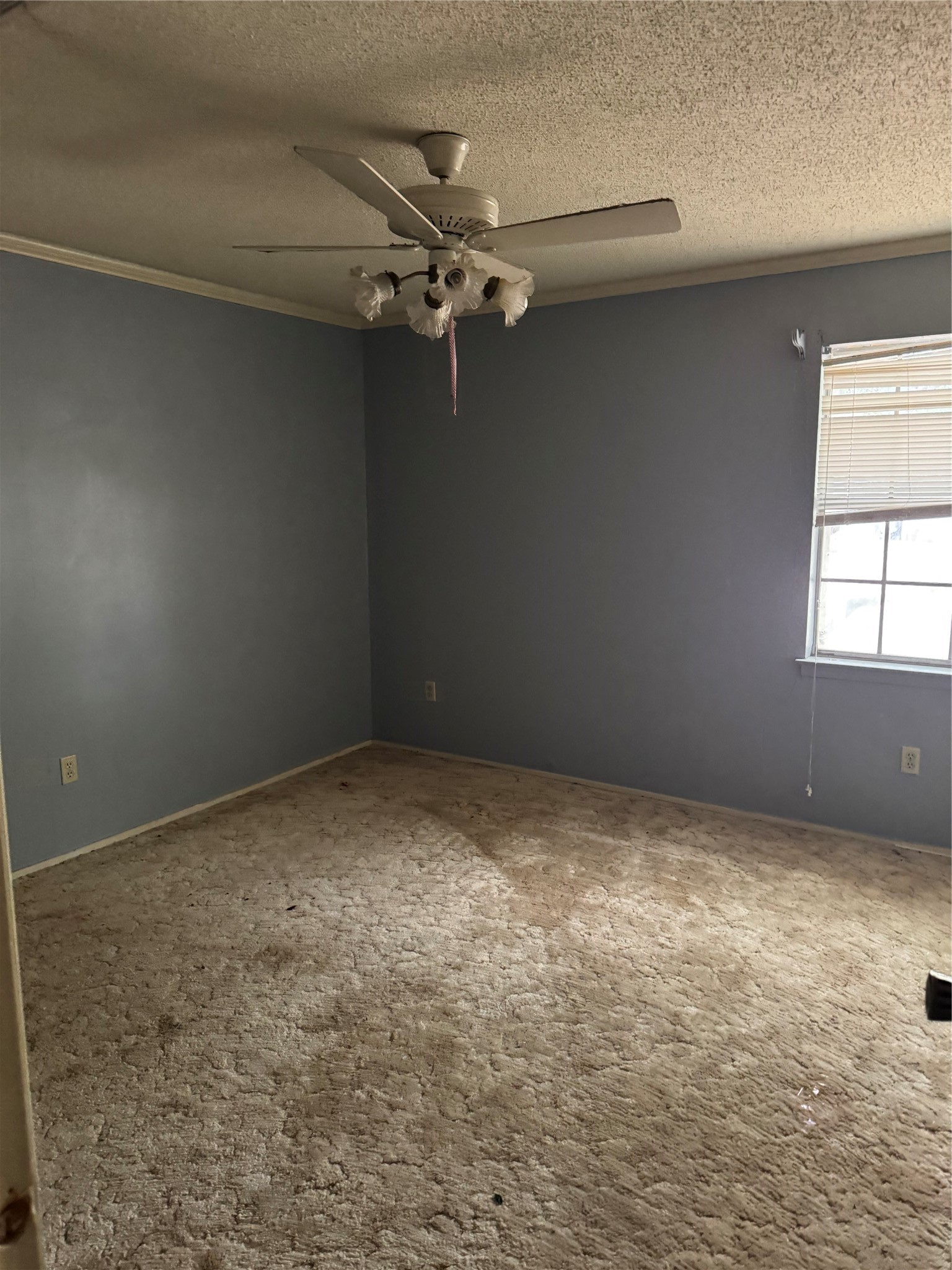 1413 Alford Drive Hillsboro TX 76645