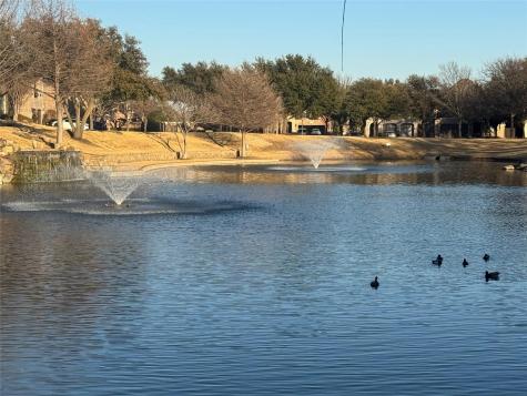41 Bass Pond Drive Frisco TX 75034