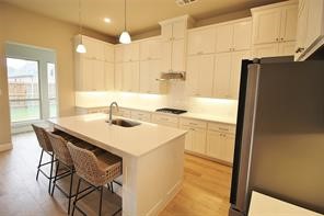 1523 Wild Indigo Drive Mansfield TX 76063