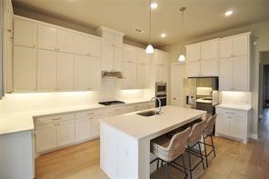 1523 Wild Indigo Drive Mansfield TX 76063