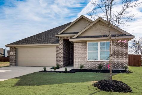 319 Cherry Point Drive Palmer TX 75152