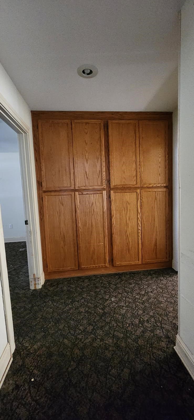 4462 N Fm 17 Alba TX 75410