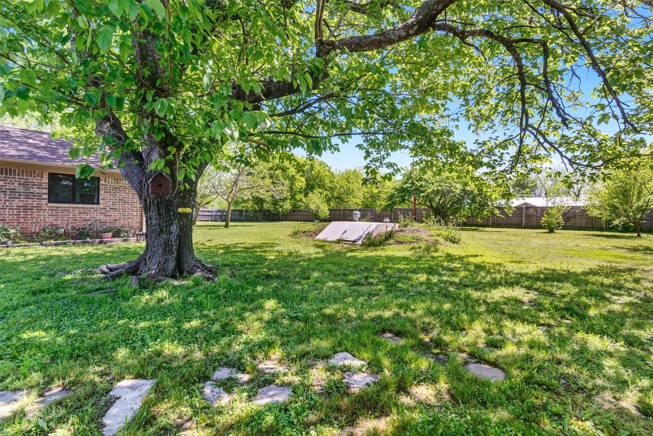 832 Cherry Street Wolfe City TX 75496