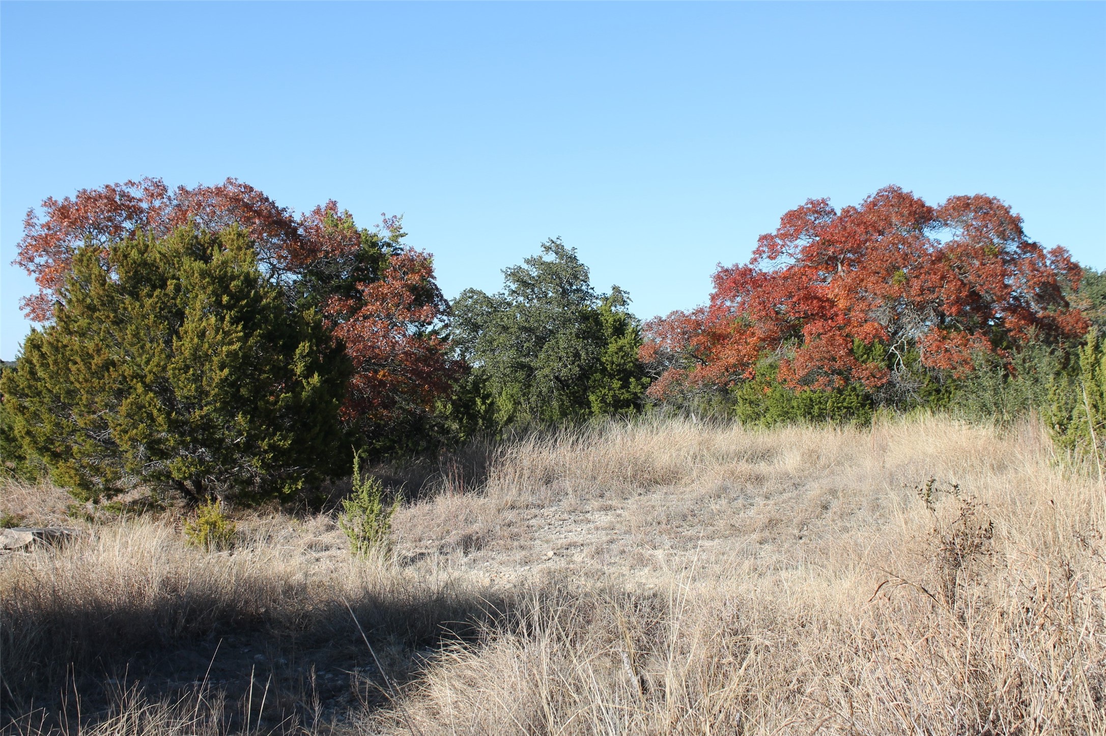 4927 W Highway 67 Glen Rose TX 76043