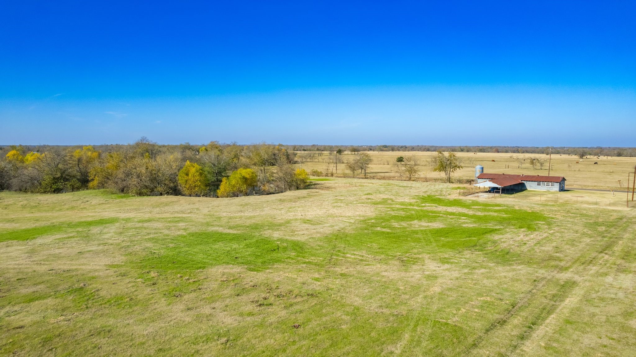 1310 County Road 3566 Dike TX 75437