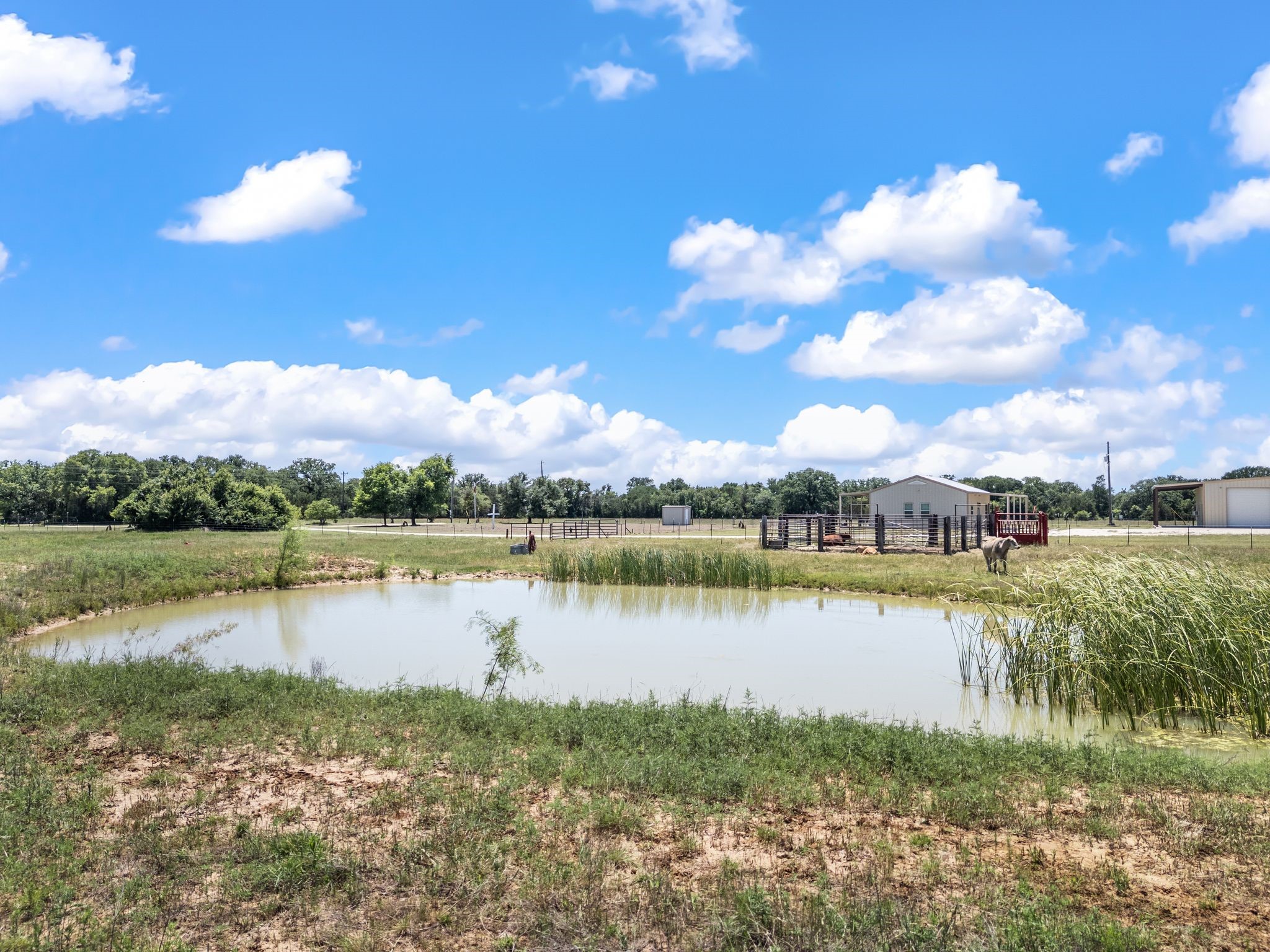184 County Road 2484 Hico TX 76457