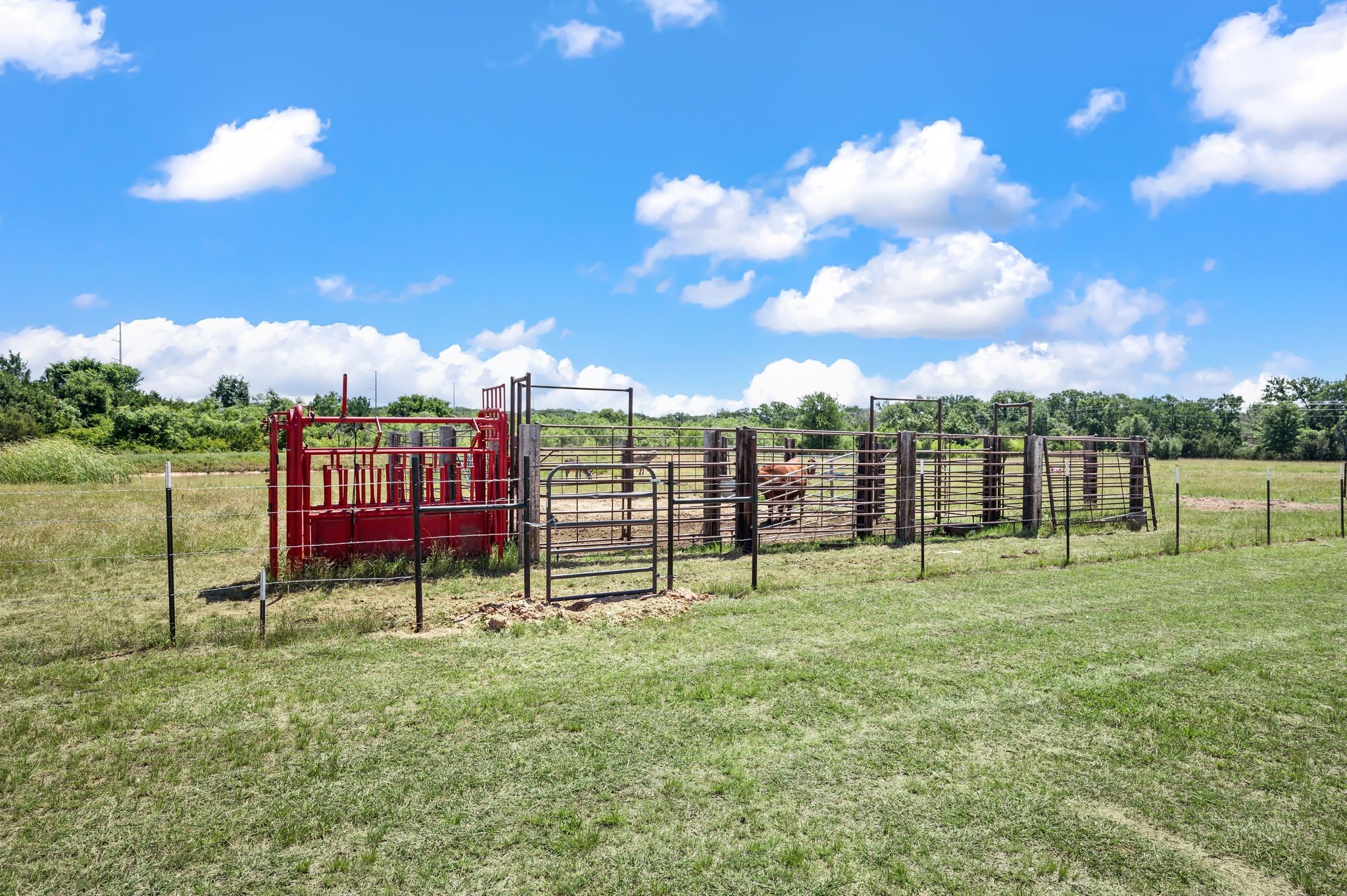 184 County Road 2484 Hico TX 76457