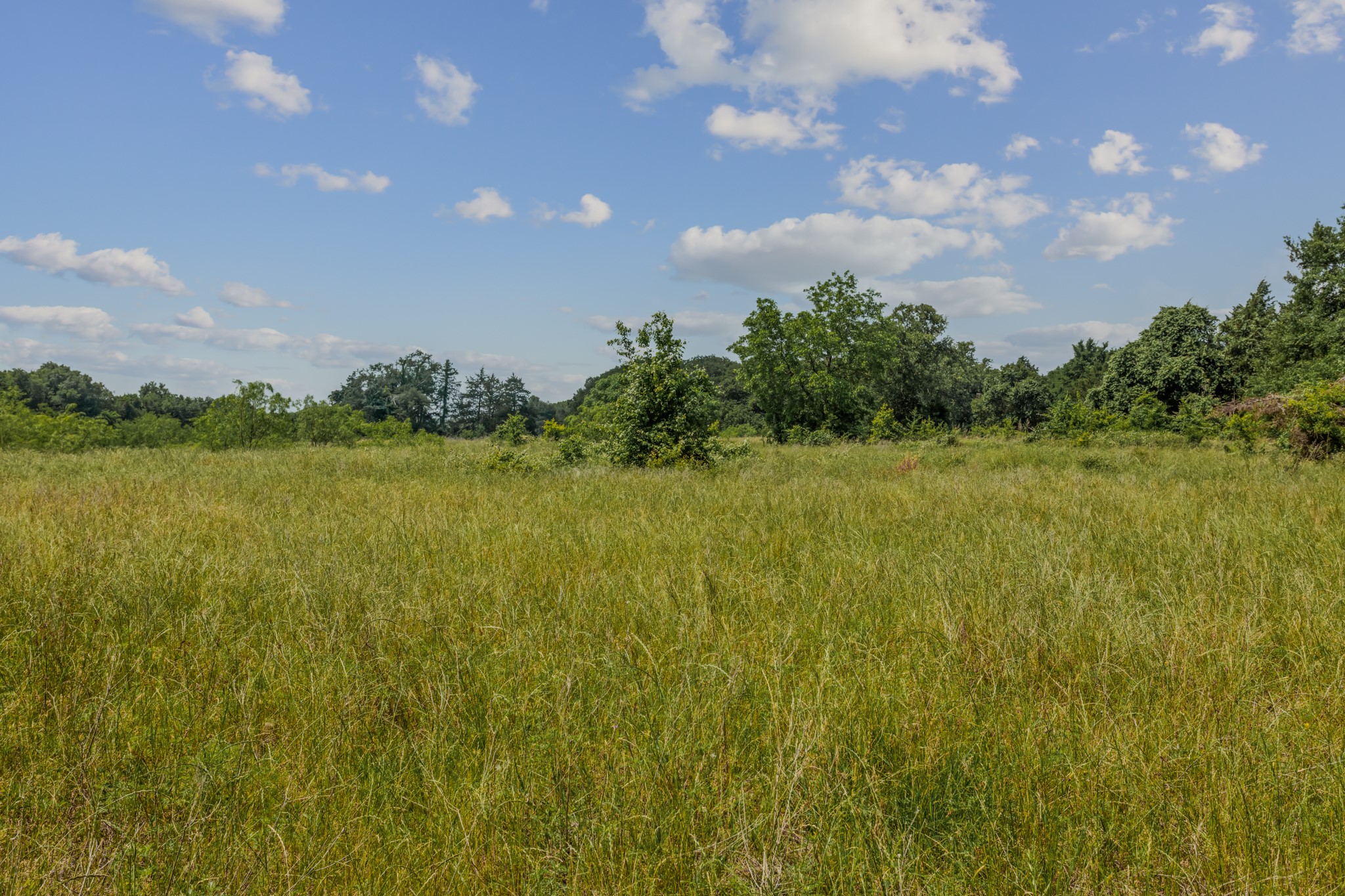 10398 Fm 429 Kaufman TX 75142