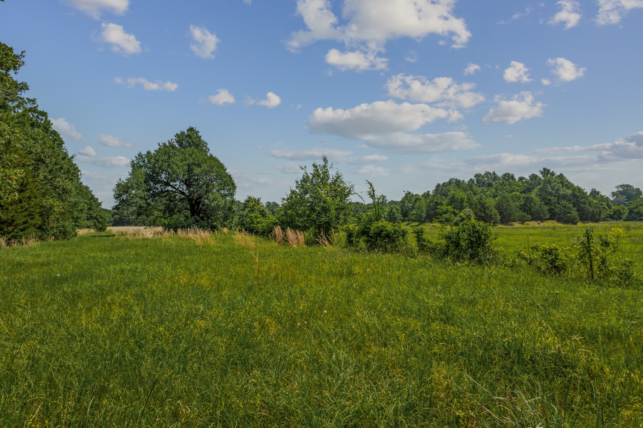 10398 Fm 429 Kaufman TX 75142