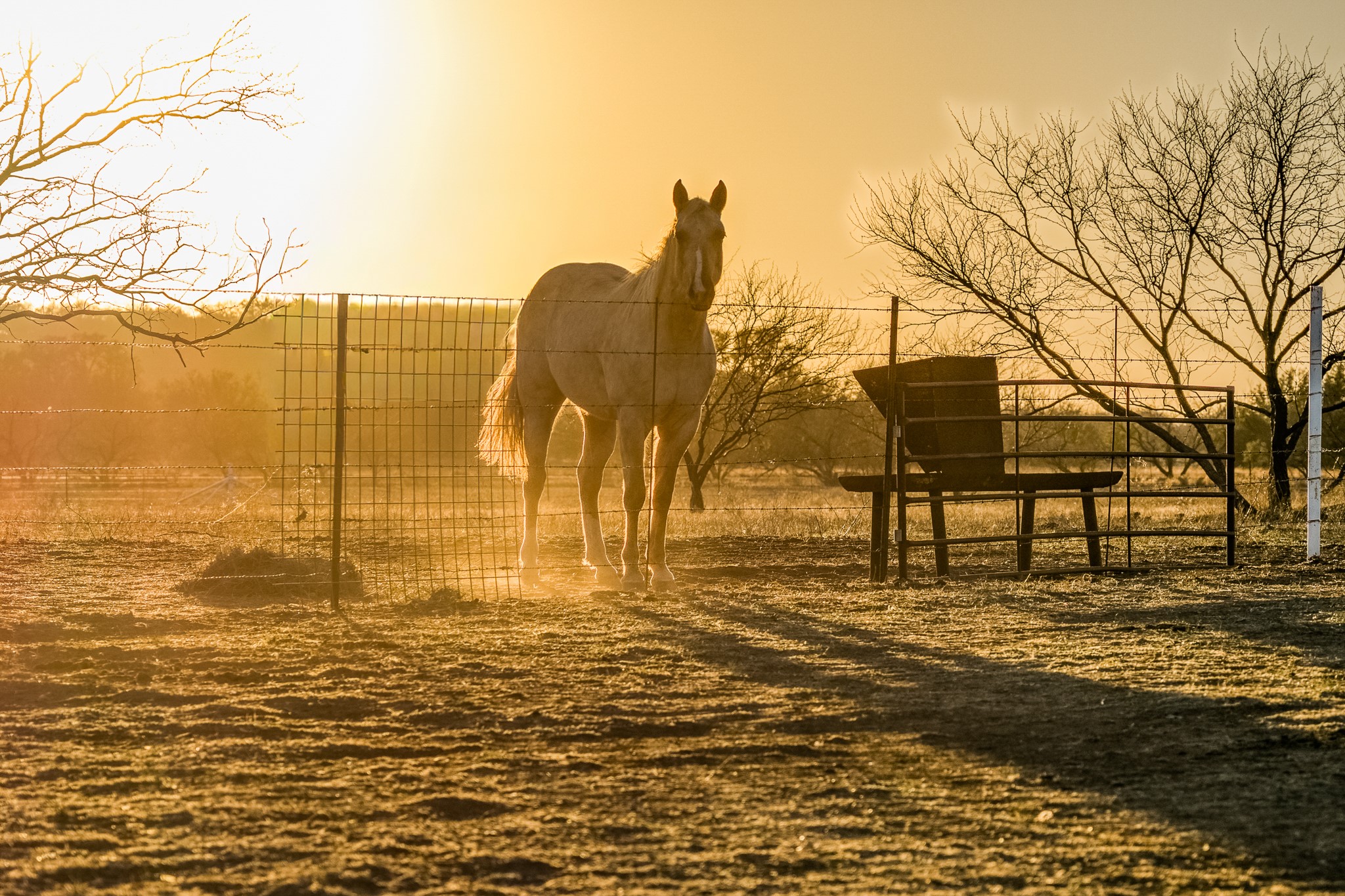2387 Farm To Market 503 Coleman TX 76834