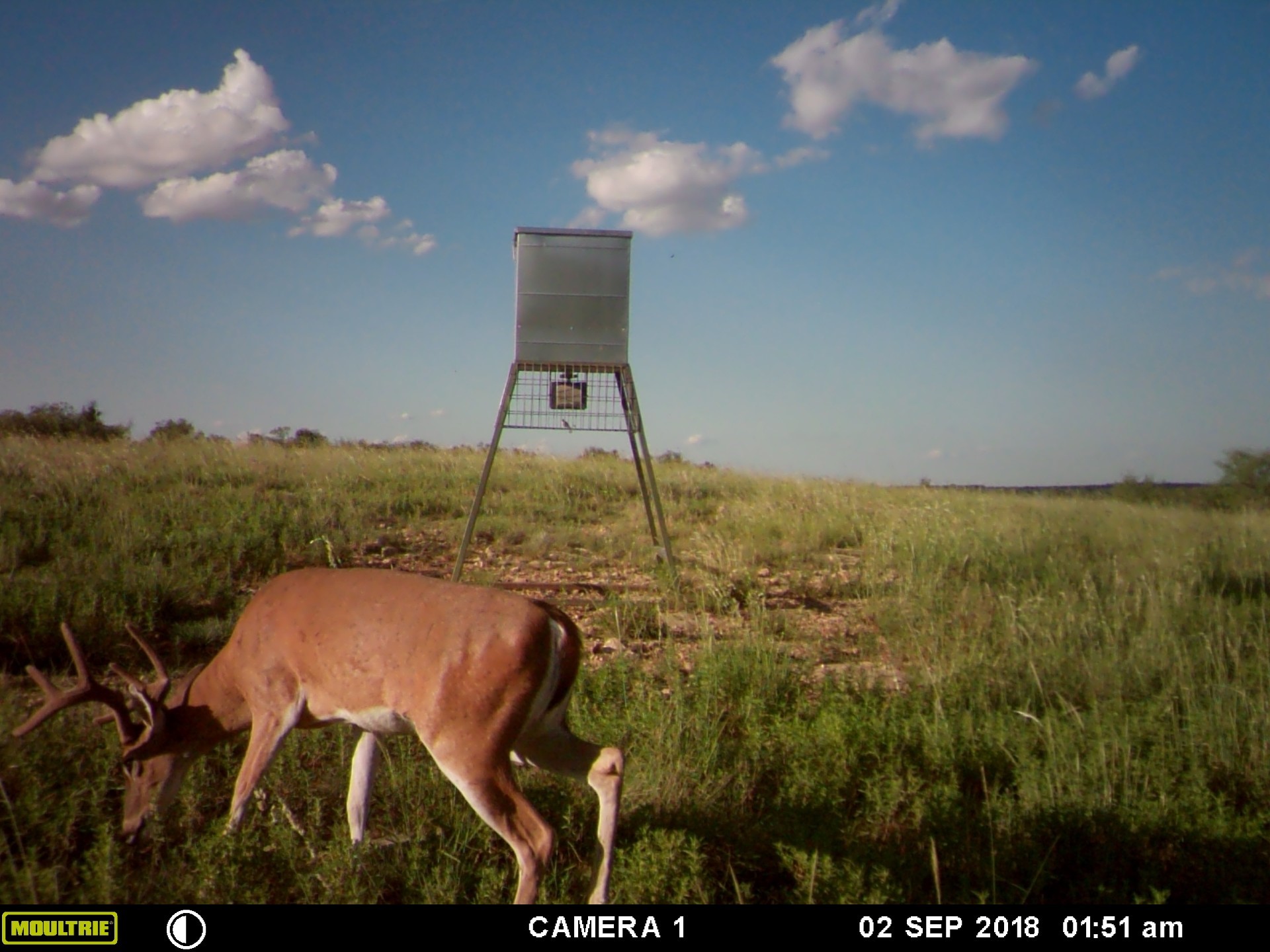 2387 Farm To Market 503 Coleman TX 76834
