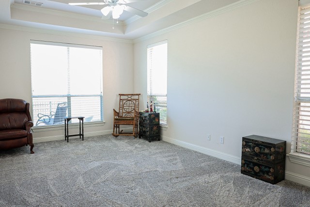 2313 Canyon Creek Drive Mckinney TX 75072