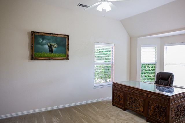2313 Canyon Creek Drive Mckinney TX 75072