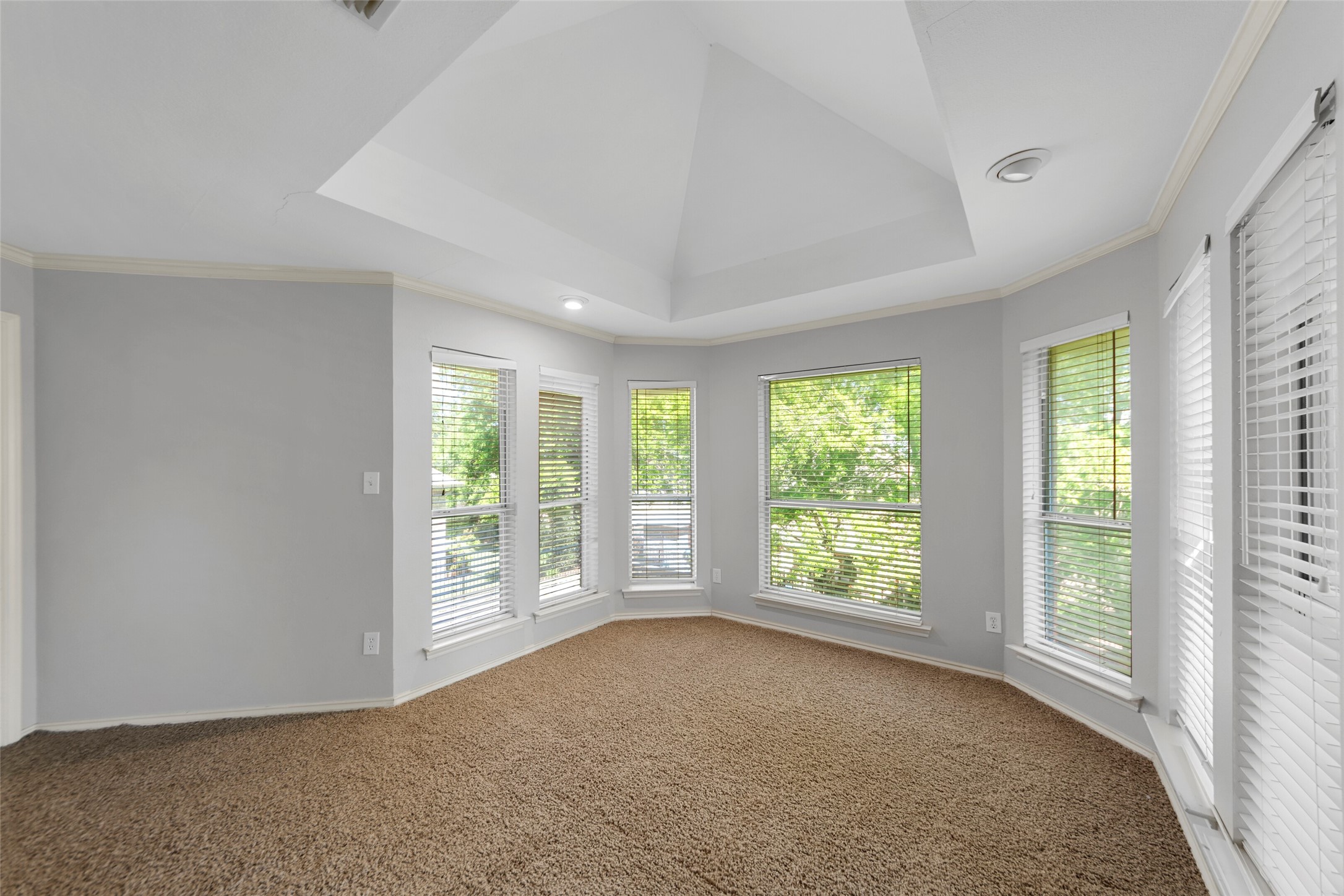 917 Hills Creek Drive Mckinney TX 75072