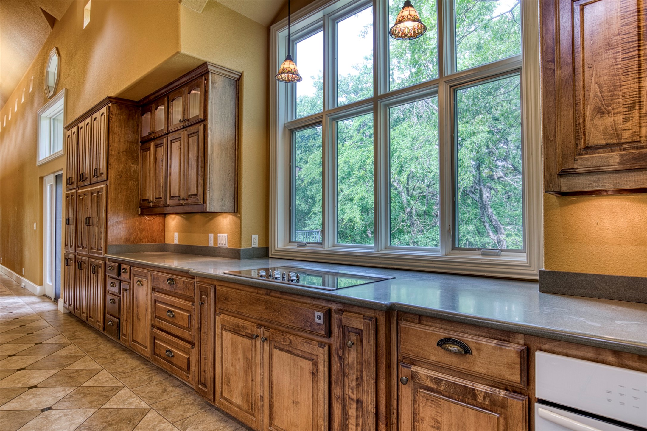 711 Pearl Cove Oak Point TX 75068