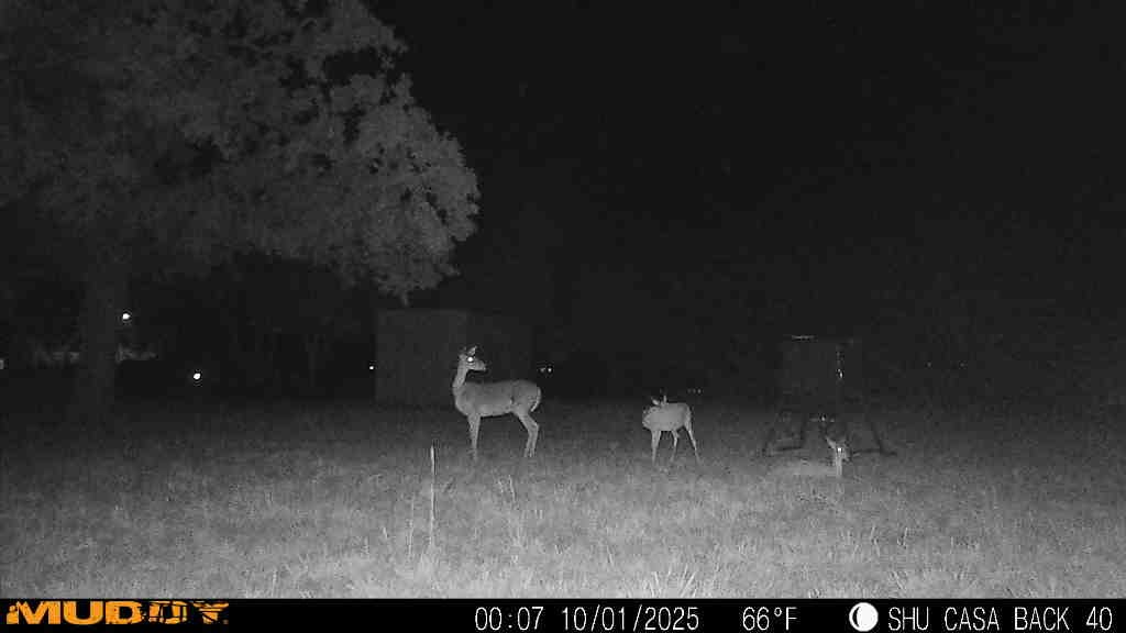 310 Centeridge Lane Graham TX 76450