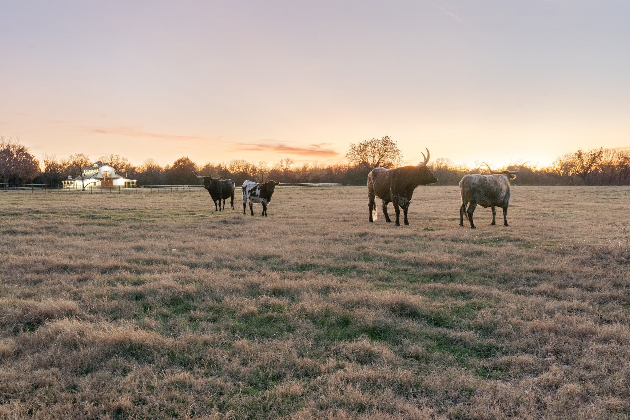 1512 E Henderson Street Cleburne TX 76031