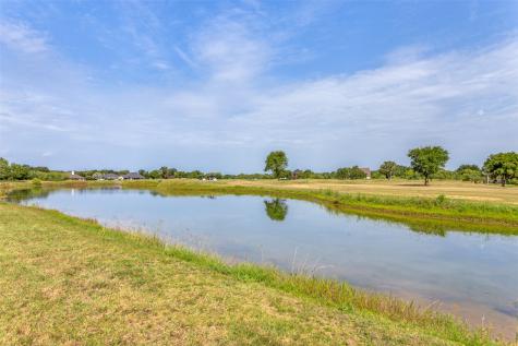 22034 Raintree Whitney TX 76692