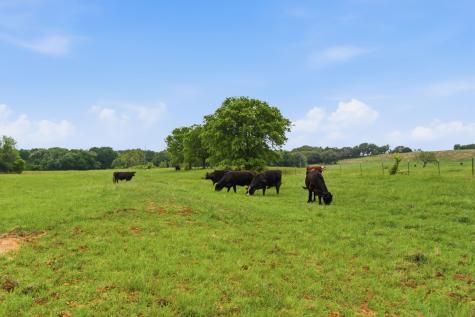 10501 Mitchell Bend Court Granbury TX 76048