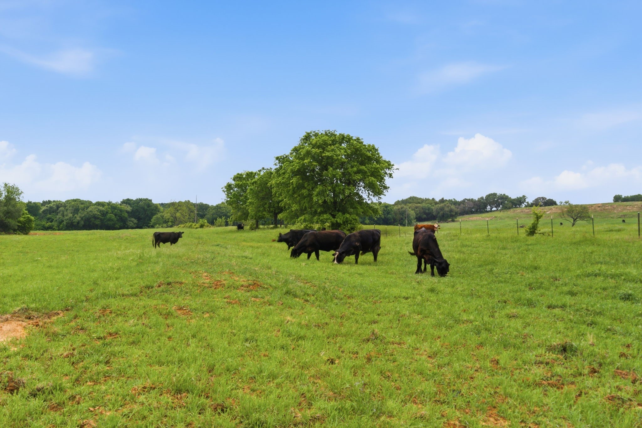 10501 Mitchell Bend Court Granbury TX 76048